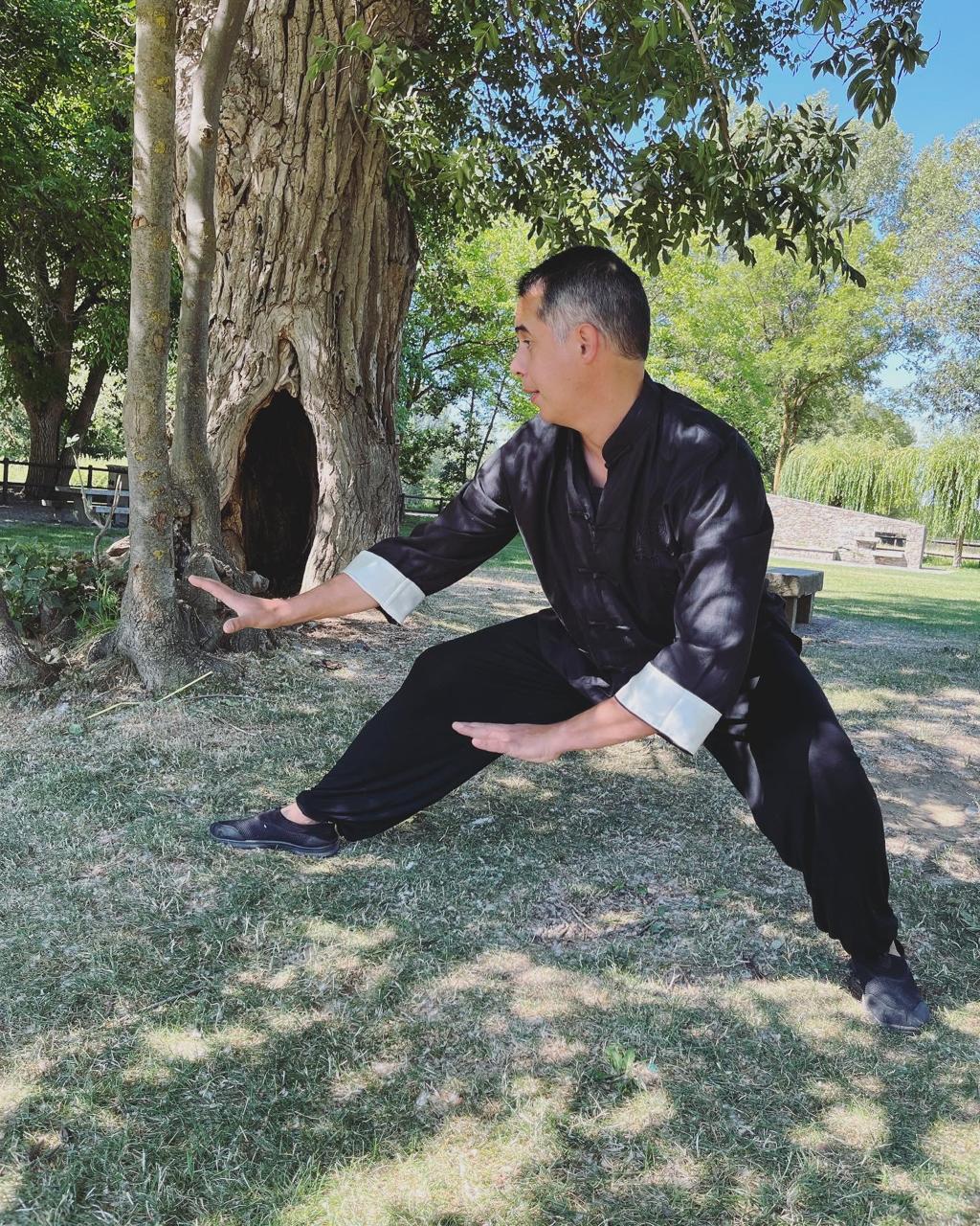 Internal arts practice beside a tree